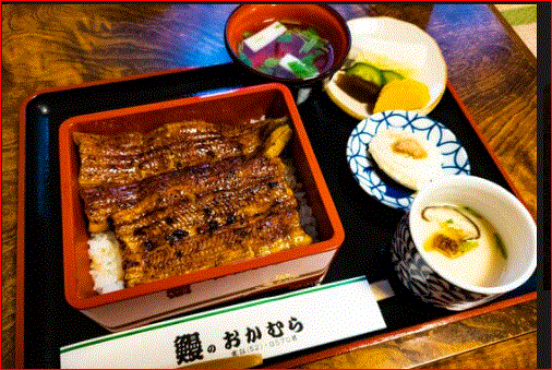 茅ヶ崎市も来年4月からゴミ有料化を開始