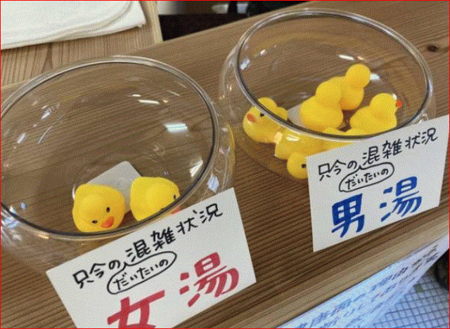 今日はほっこりアイディアをご紹介します