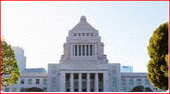 明日は投票に行きましょう！