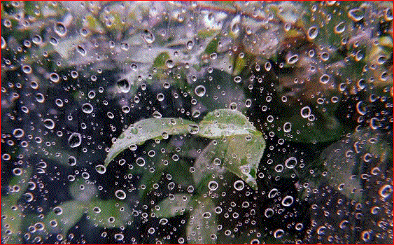 戻り梅雨でしょうか？