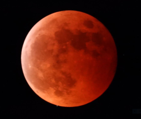 442年ぶりの天体ショー