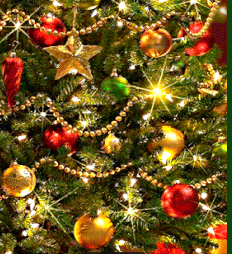 ☆メリークリスマス☆