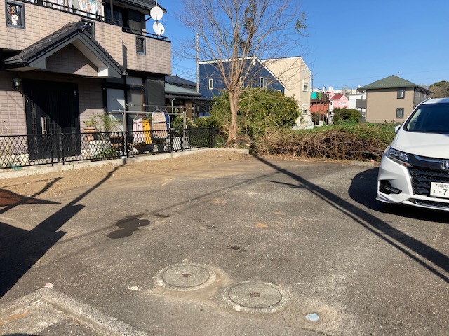 来週はお花見日和です