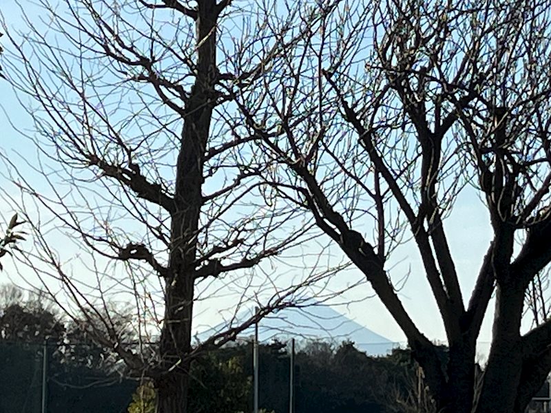 【売地】茅ヶ崎市堤　売土地 眺望写真