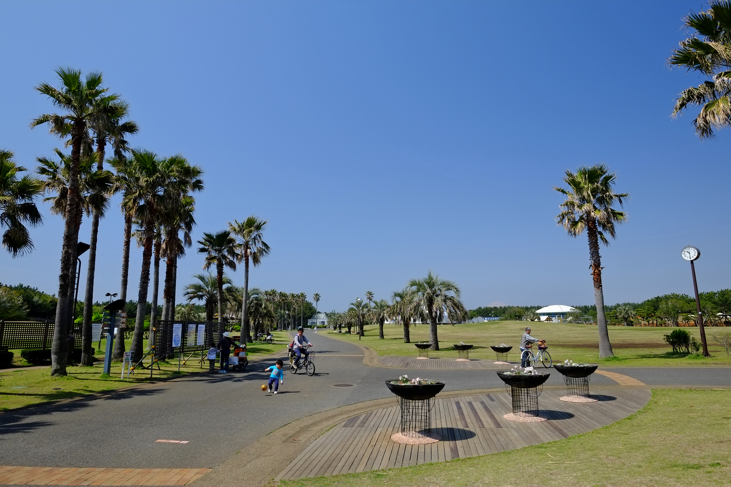 オーシャンレジデンス辻堂海浜公園 公園